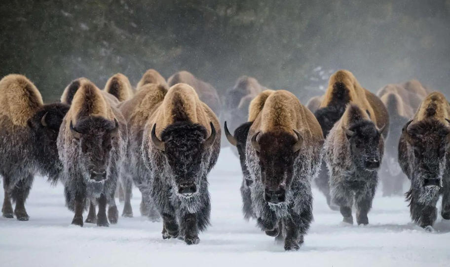 北京盛思克安防科技有限公司轮播图3